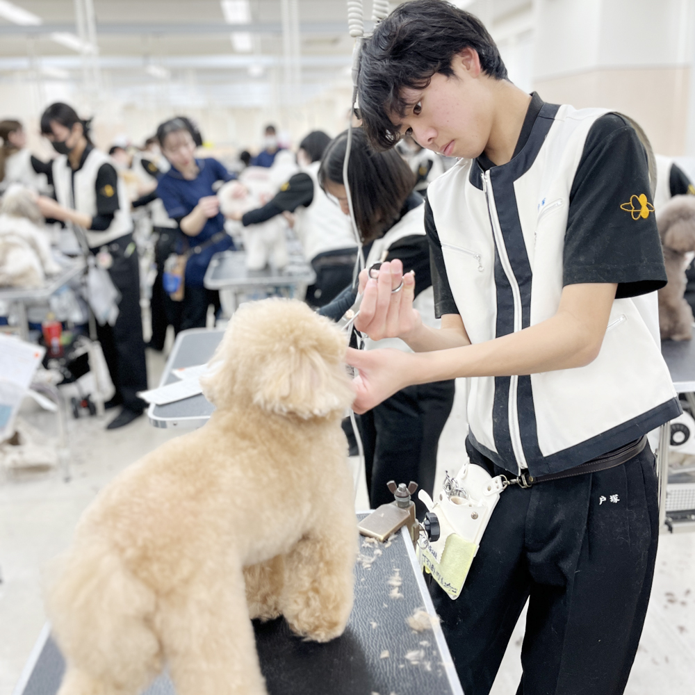 ２年生のカット中と仕上がり写真♪